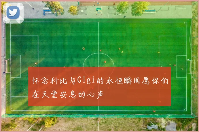 怀念科比与Gigi的永恒瞬间愿你们在天堂安息的心声